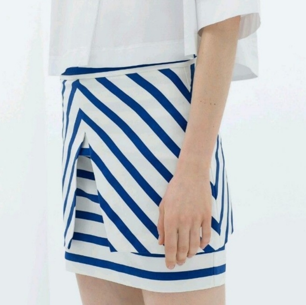 Zara Trafaluc skirt